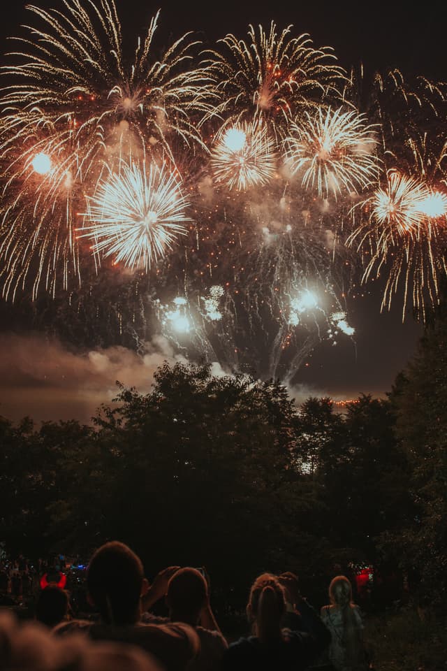 Guildford Lions Fireworks Fiesta